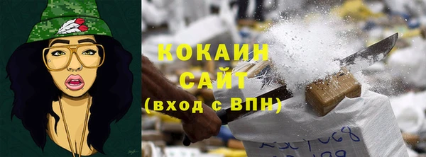 индика Алзамай