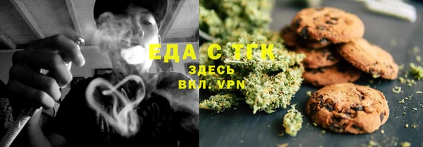 индика Алзамай