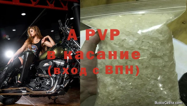 экстази Арсеньев